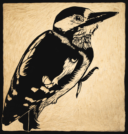 woodcut woodpecker